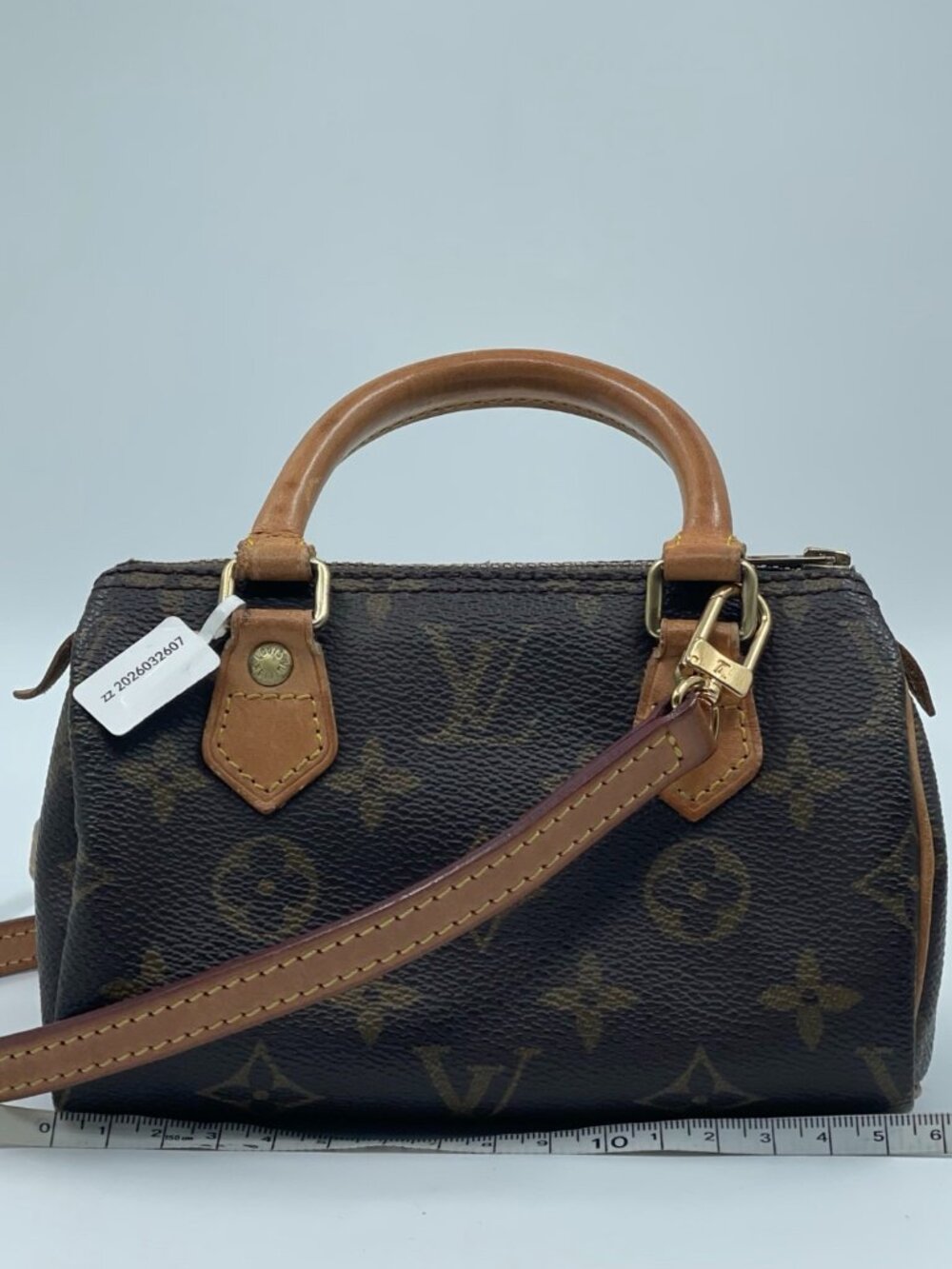 Louis Vuitton Monogram Mini Sac HL Speedy